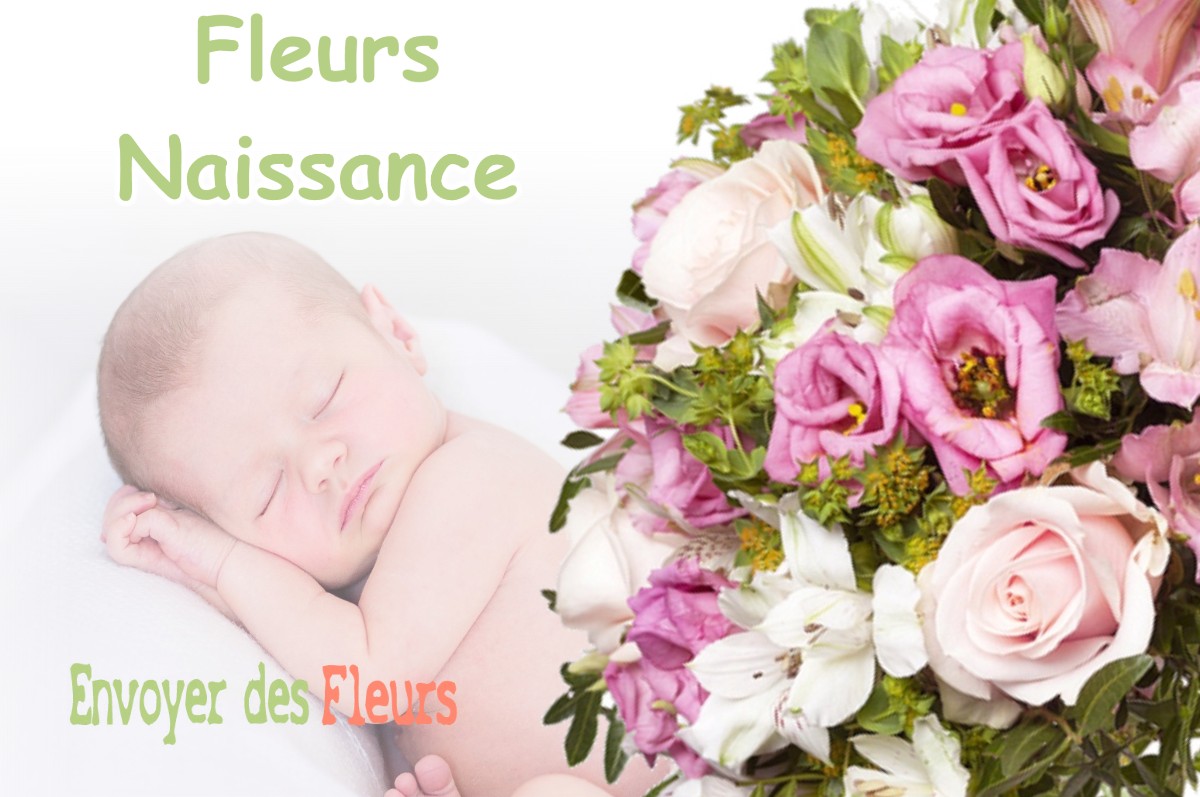 lIVRAISON FLEURS NAISSANCE à AINCREVILLE